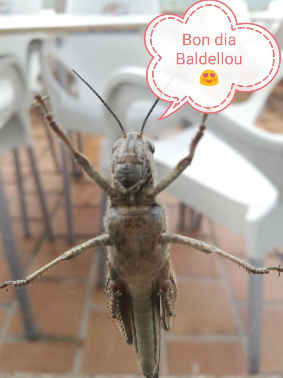 Casa Albano Hostel Baldellou Εξωτερικό φωτογραφία